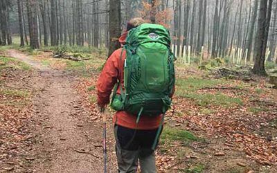 Test: Osprey Kestrel 38 Wanderrucksack