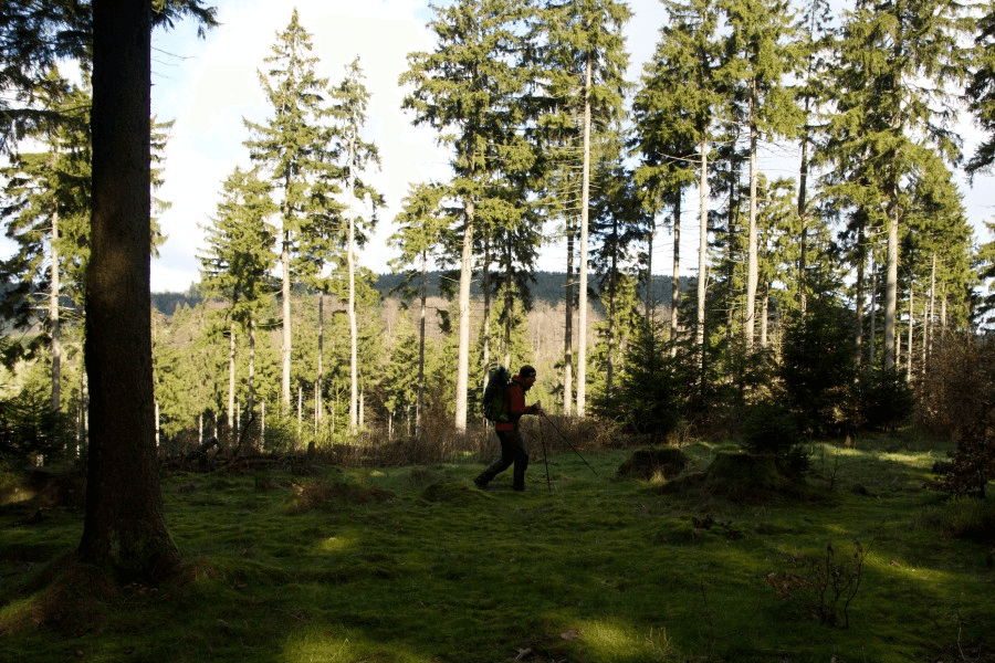 Wanderbericht: Der Rennsteig im Thüringer Wald von Hörschel nach Blankenstein