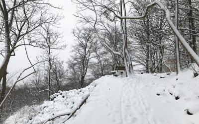 Winterwanderung – Basaltweg – Extratour Rhön