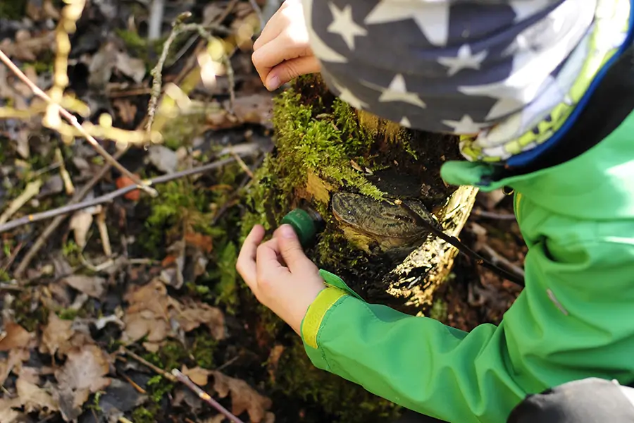 Kind hat einen Geocach im Wald gefunden