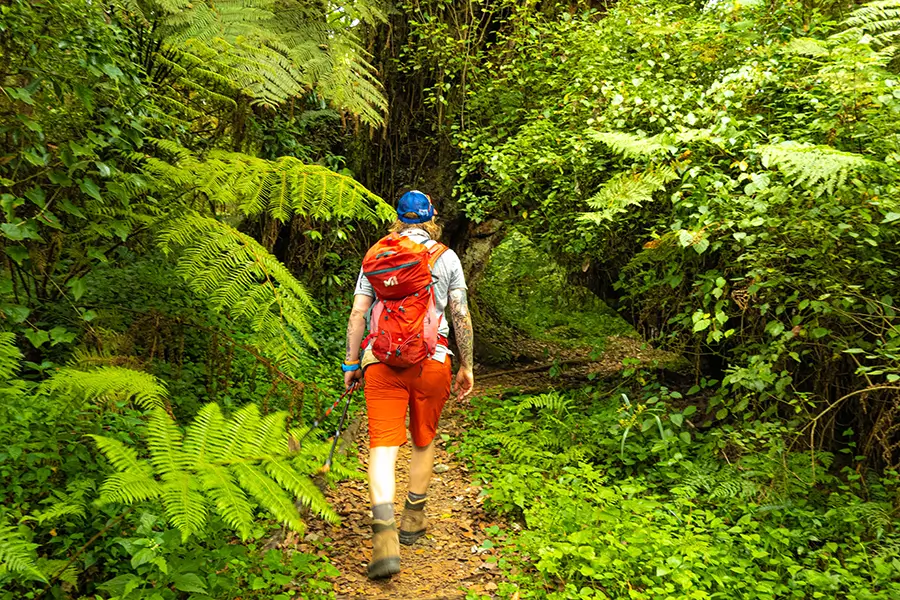 Mitter mit Kind auf den Schultern schaut durch ein Fernglas beim Wandern