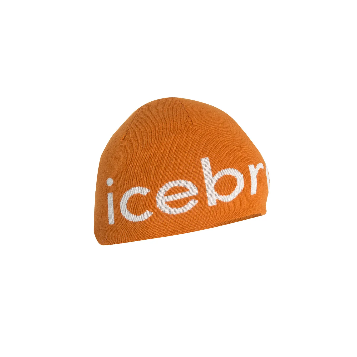 FW23-Unisex-Merino-Icebreaker-Beanie-0a56sj932-1.jpg