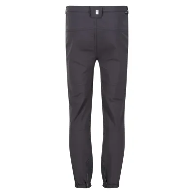 Tech Mountain Trousers grau