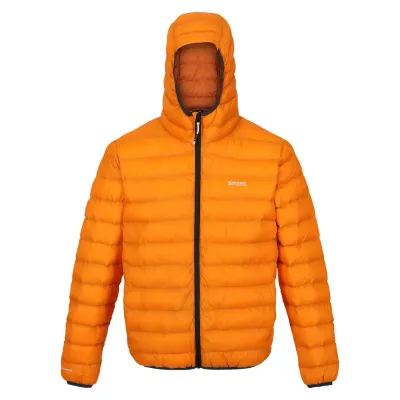 Hooded Marizion orange