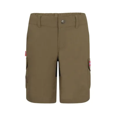 Hammerfest Shorts braun