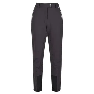 Mountain Winter Trousers Women grau