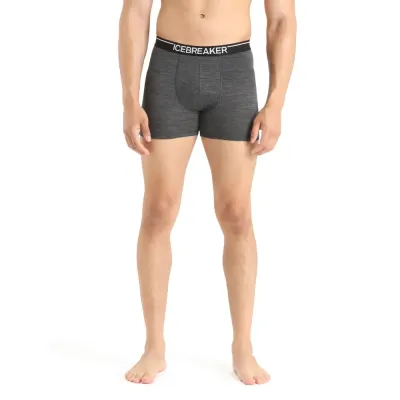 Anatomica Boxers Men grau